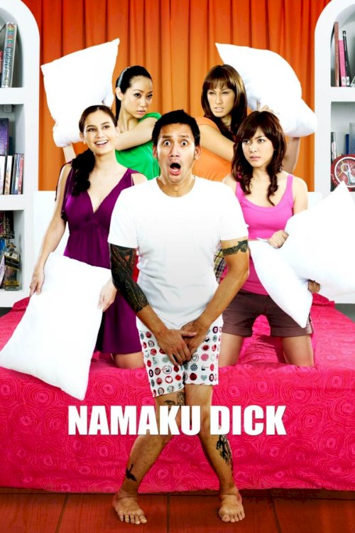 My Name is Dick - Movie Poster