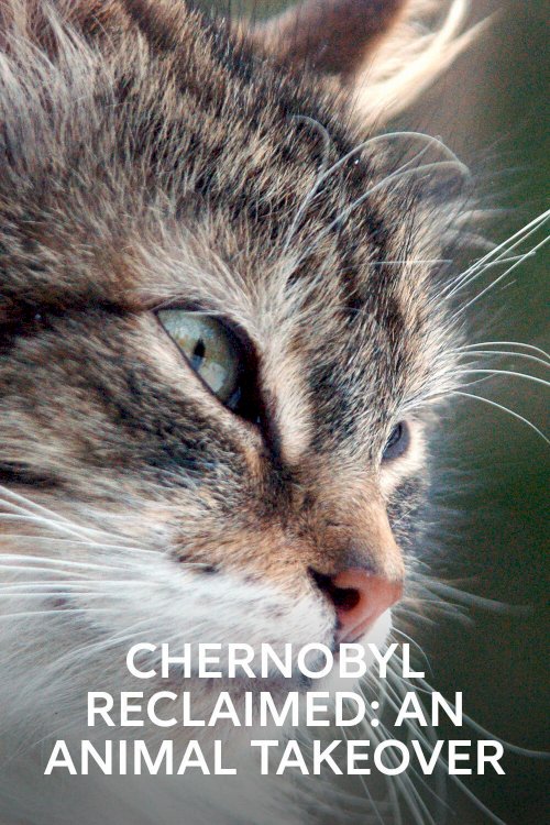 Chernobyl Reclaimed: An Animal Takeover - Movie Poster Chernobyl Reclaimed: An Animal Takeover - Movie Poster