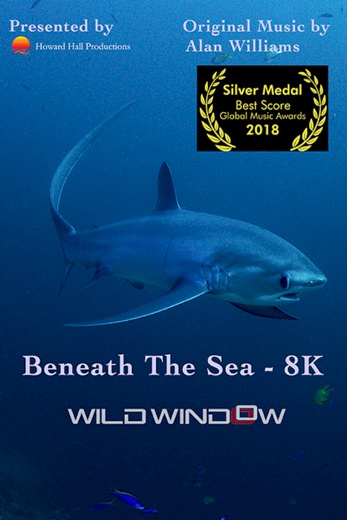 Wild Window: Beneath the Sea - Movie Poster Wild Window: Beneath the Sea - Movie Poster