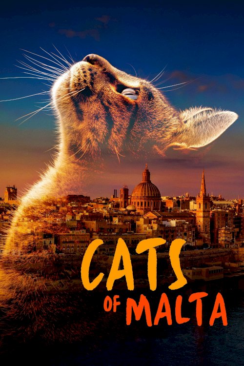 Cats of Malta - Movie Poster Cats of Malta - Movie Poster