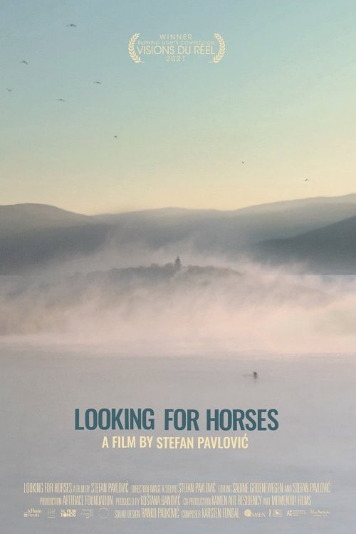 Looking for Horses - Movie Poster Looking for Horses - Movie Poster