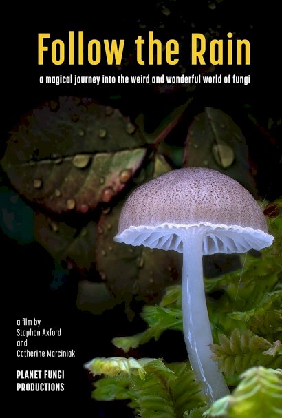 Follow the Rain - Movie Poster Follow the Rain - Movie Poster