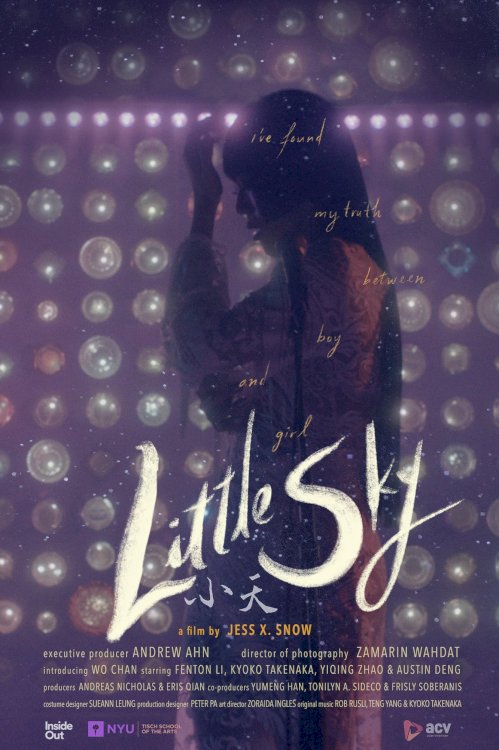 Little Sky - Movie Poster