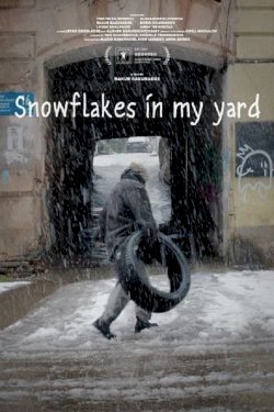 Snowflakes in my Yard - Movie Poster