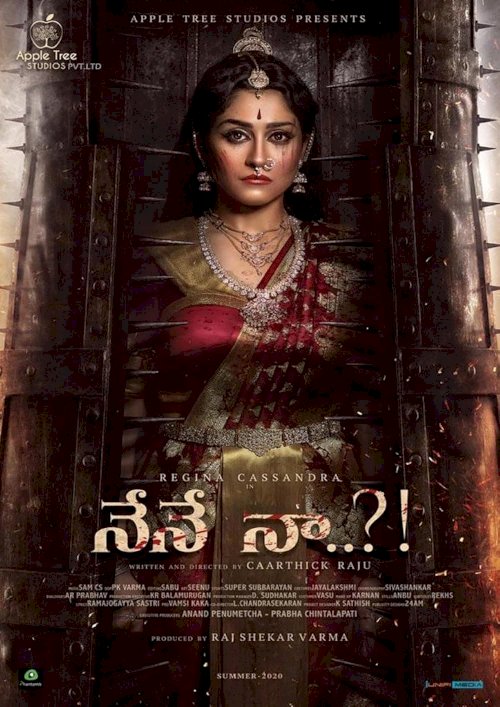 Nene Naa - Movie Poster Nene Naa - Movie Poster