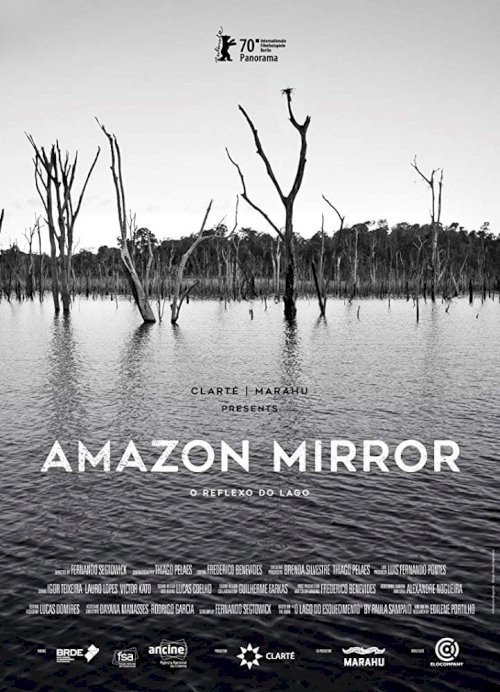 Amazon Mirror - Movie Poster Amazon Mirror - Movie Poster