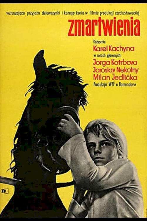 Suffering - Movie Poster Suffering - Movie Poster