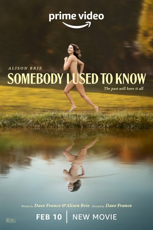 Somebody I Used to Know - Movie Poster Somebody I Used to Know - Movie Poster