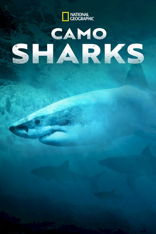 Camo Sharks - Movie Poster