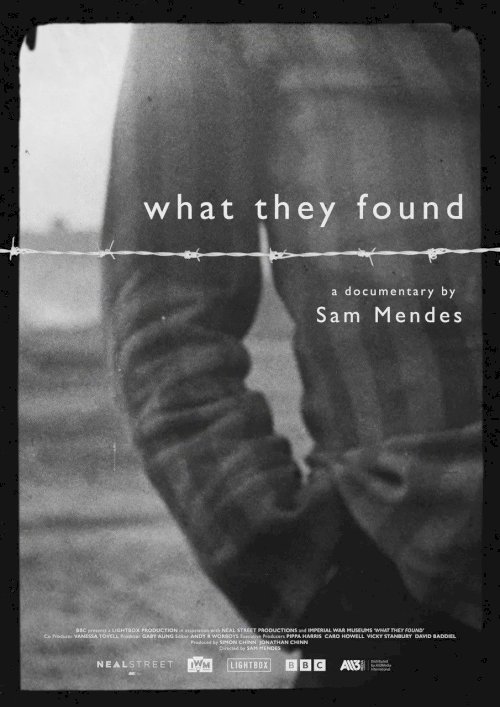 What They Found - Movie Poster What They Found - Movie Poster