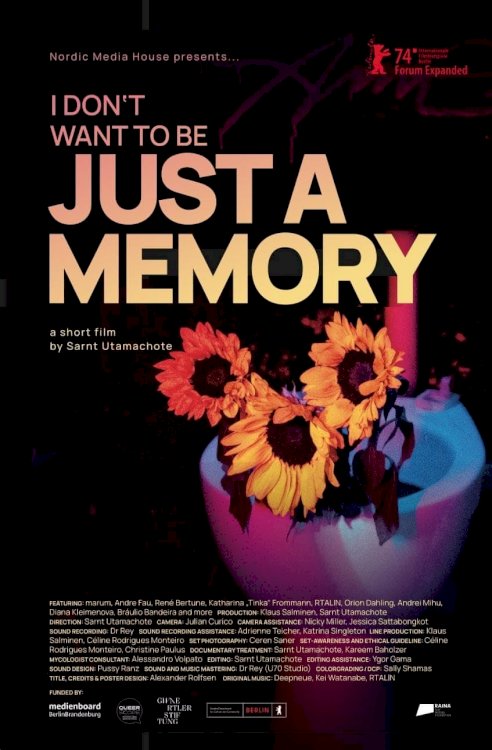 I Don’t Want to Be Just a Memory - Movie Poster I Don’t Want to Be Just a Memory - Movie Poster