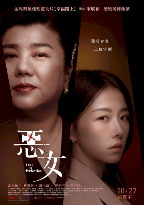 Lost in Perfection - Movie Poster Lost in Perfection - Movie Poster