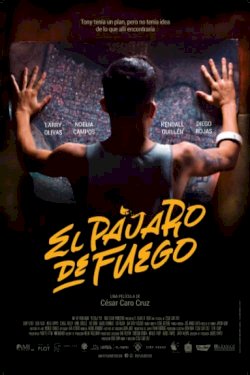 Bird of Fire - Movie Poster Bird of Fire - Movie Poster