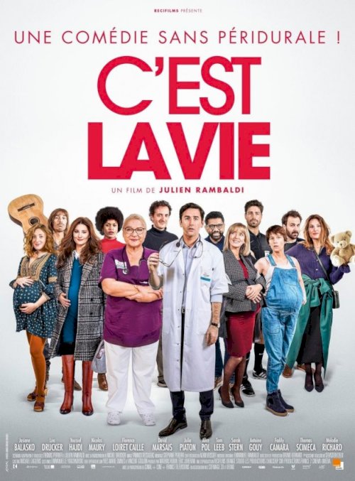 C'est la Vie - Movie Poster C'est la Vie - Movie Poster