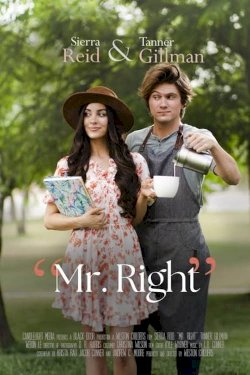 Mr. Right - Movie Poster