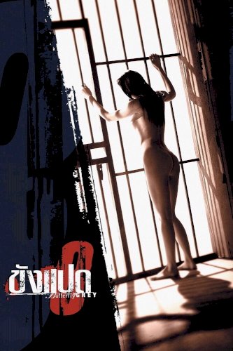 Butterfly in Grey - Movie Poster