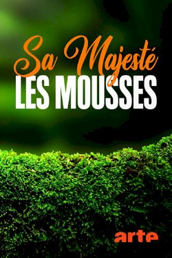 The Magical World of Moss - Movie Poster The Magical World of Moss - Movie Poster