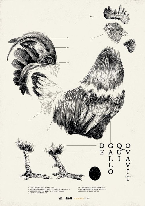 De Gallo Qui Ovavit - Movie Poster De Gallo Qui Ovavit - Movie Poster