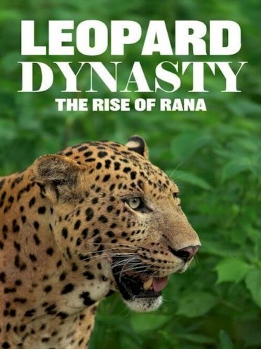 Leopard Dynasty – The Rise of Rana - Movie Poster Leopard Dynasty – The Rise of Rana - Movie Poster