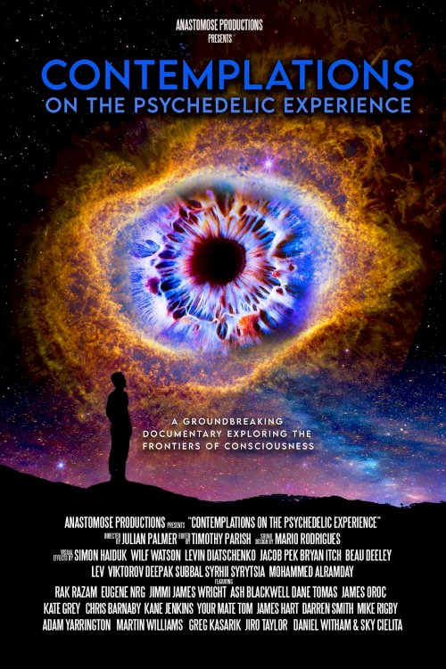 Contemplations: On the Psychedelic Experience - Movie Poster Contemplations: On the Psychedelic Experience - Movie Poster