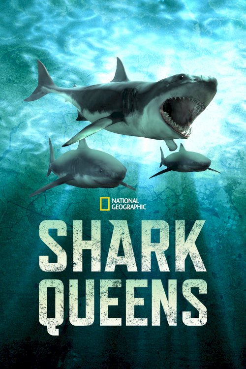 Shark Queens - Movie Poster Shark Queens - Movie Poster