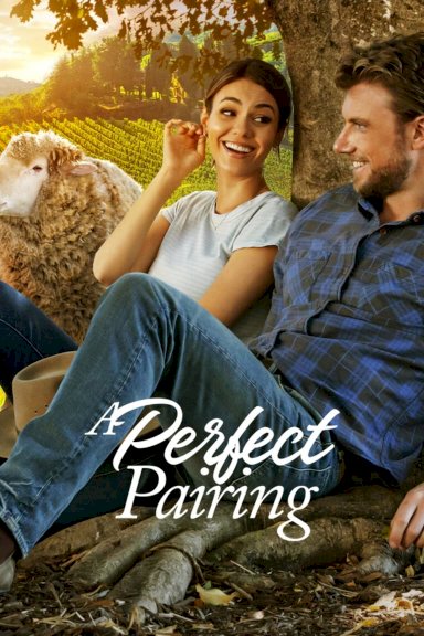 A Perfect Pairing - Movie Poster A Perfect Pairing - Movie Poster