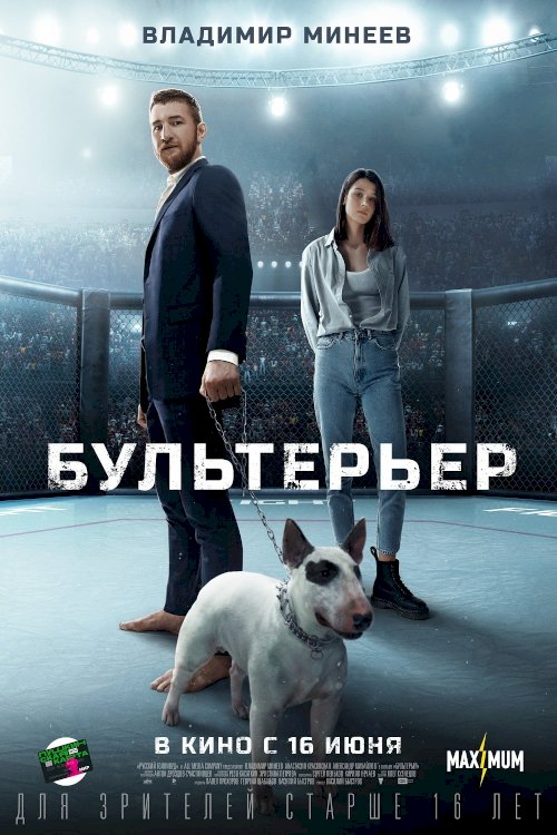 Bullterrier - Movie Poster Bullterrier - Movie Poster