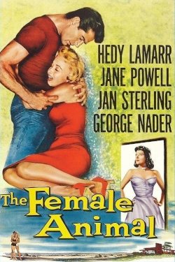 The Female Animal - Movie Poster The Female Animal - Movie Poster