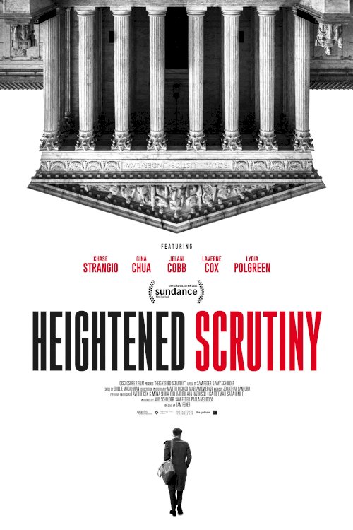 Heightened Scrutiny - Movie Poster Heightened Scrutiny - Movie Poster