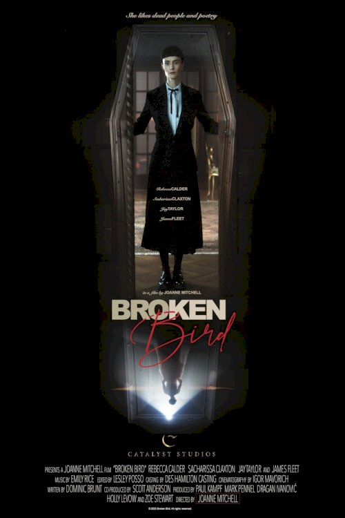 Broken Bird - Movie Poster Broken Bird - Movie Poster