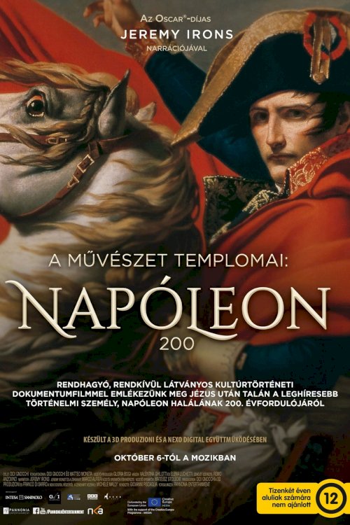 Napoleon: In the Name of Art - Movie Poster Napoleon: In the Name of Art - Movie Poster