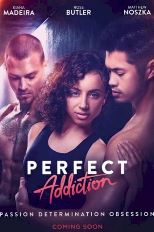 Perfect Addiction - Movie Poster