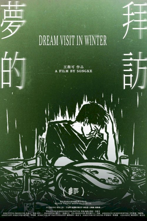 梦的拜访 - Movie Poster 梦的拜访 - Movie Poster