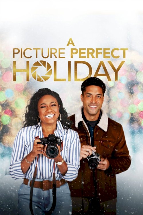 A Picture Perfect Holiday - Movie Poster A Picture Perfect Holiday - Movie Poster