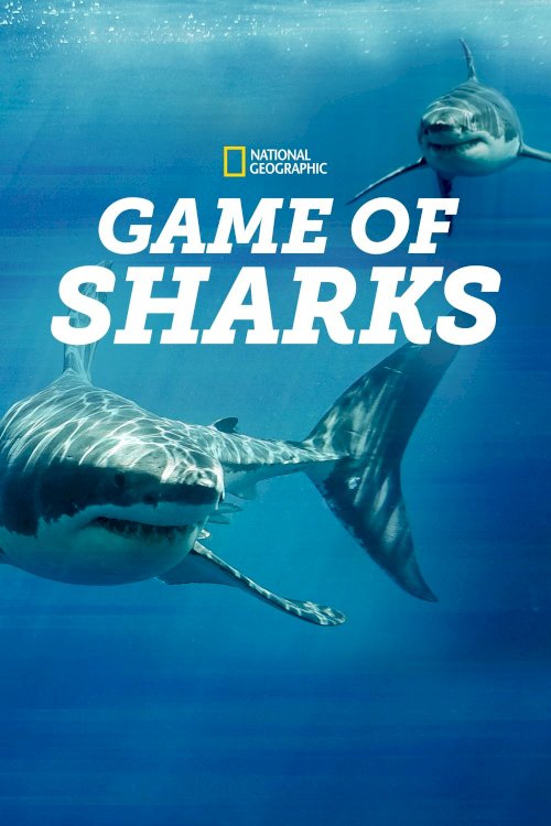 Game of Sharks - Movie Poster Game of Sharks - Movie Poster