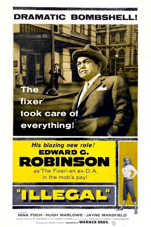 Illegal - Movie Poster Illegal - Movie Poster