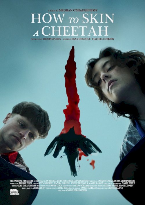 How To Skin A Cheetah - Movie Poster How To Skin A Cheetah - Movie Poster