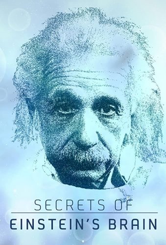 Secrets of Einstein's Brain - Movie Poster Secrets of Einstein's Brain - Movie Poster