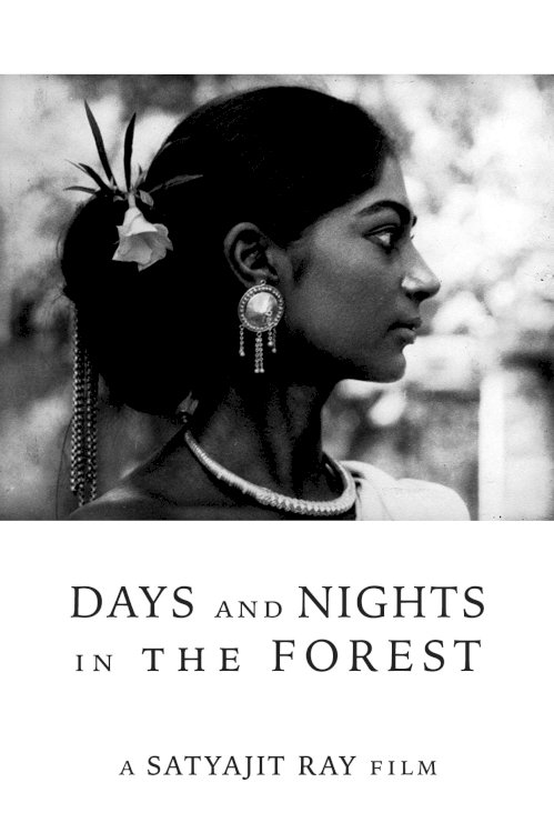 Days and Nights in the Forest - Movie Poster Days and Nights in the Forest - Movie Poster