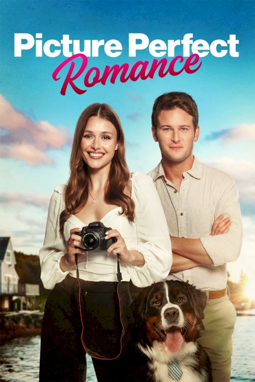 Picture Perfect Romance - Movie Poster Picture Perfect Romance - Movie Poster