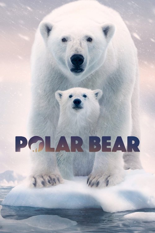 Polar Bear - Movie Poster