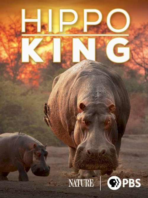 Hippo King - Movie Poster Hippo King - Movie Poster