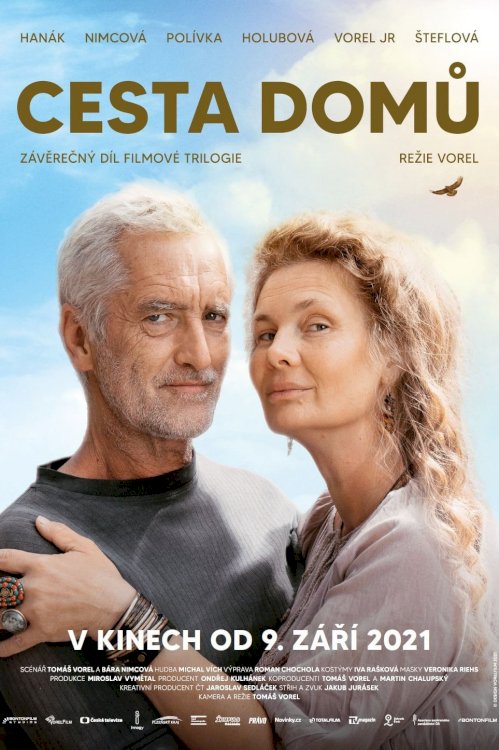 Cesta domů - Movie Poster Cesta domů - Movie Poster