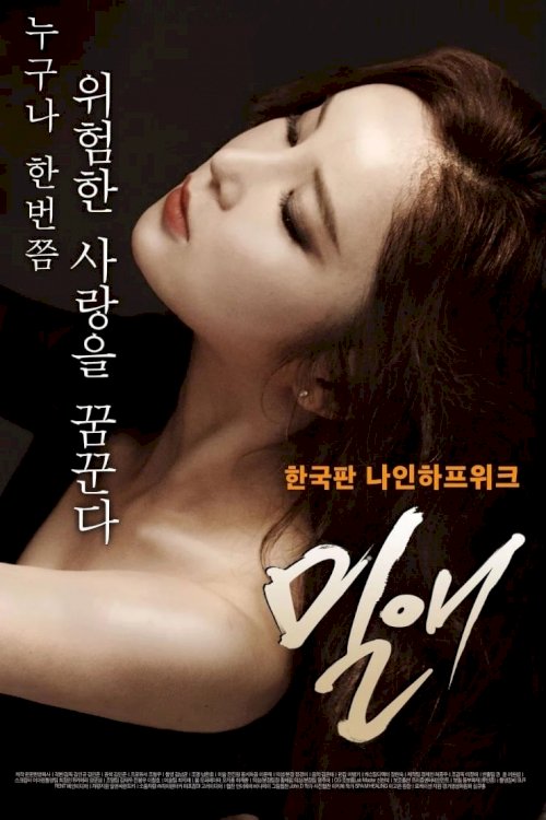 Affair - Movie Poster Affair - Movie Poster