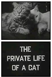 The Private Life of a Cat - Movie Poster The Private Life of a Cat - Movie Poster