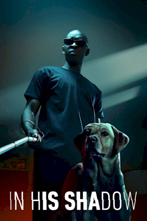 In His Shadow - Movie Poster In His Shadow - Movie Poster