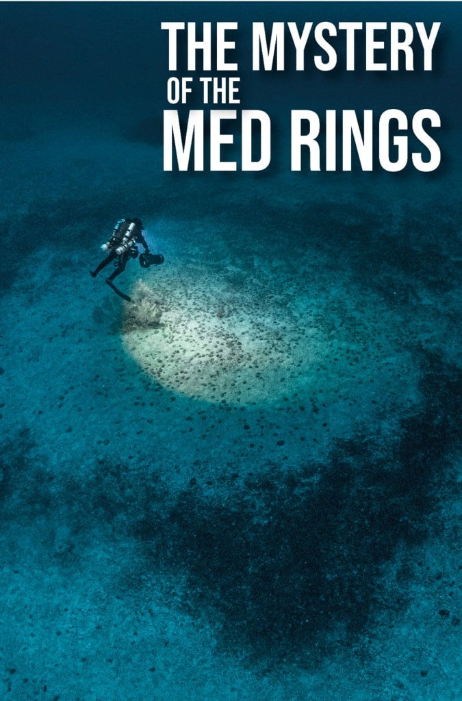 The Mystery of the Med Rings - Movie Poster The Mystery of the Med Rings - Movie Poster