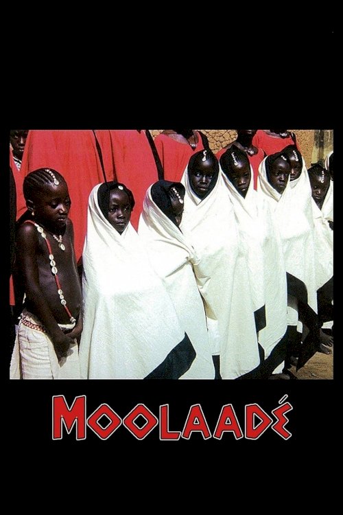 Moolaadé - Movie Poster