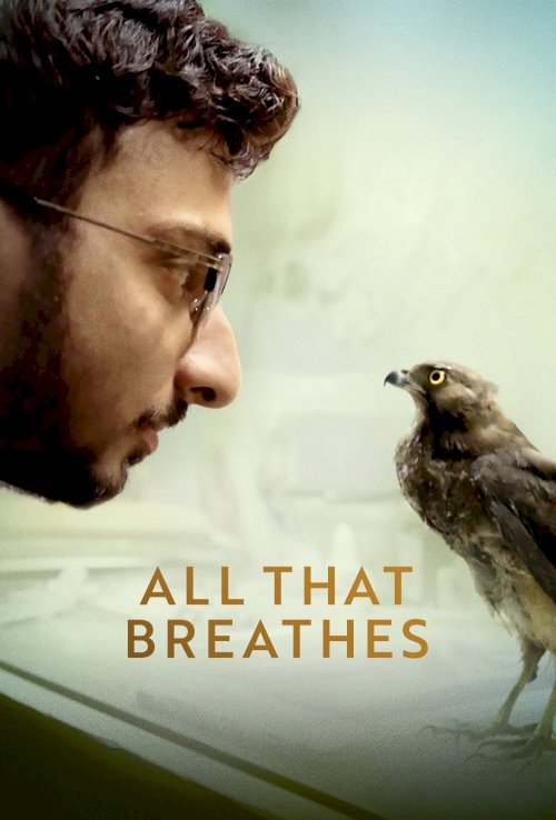 All That Breathes - Movie Poster All That Breathes - Movie Poster