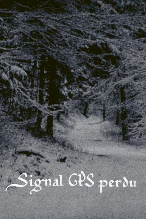 GPS Signal Lost - Movie Poster GPS Signal Lost - Movie Poster
